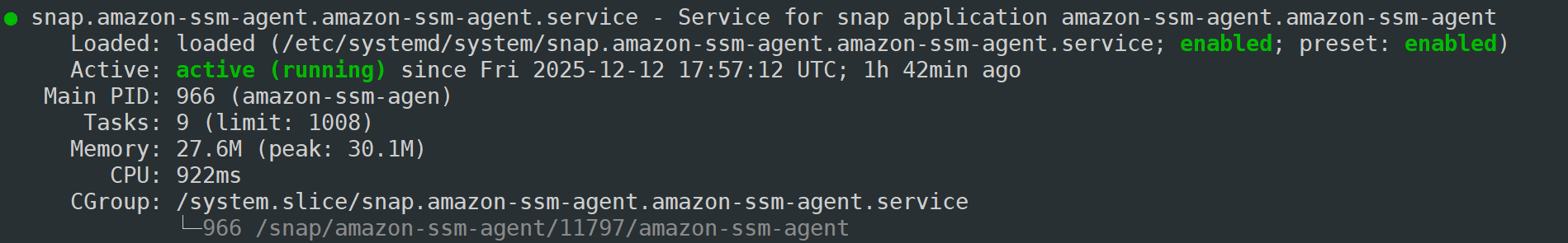 验证SSM Agent