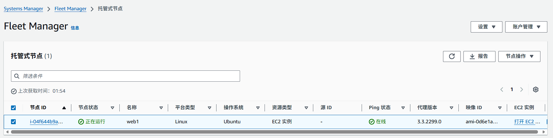 Fleet Manager 实例状态截图