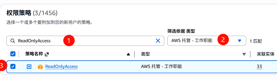 ReadOnlyAccess